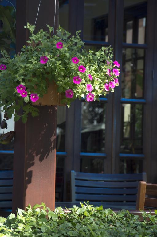 Le Bouton D'Or Boutique Hotel Тхахек Екстериор снимка